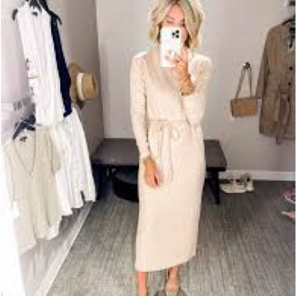 NWT LILY ROSE M Fitted Midi Oat Dress - Picture 11 of 11